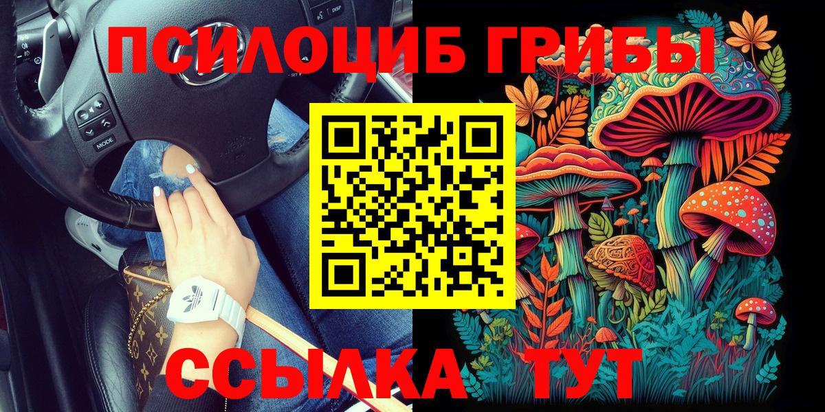 Сыктывкар  Галлюциногенные грибы мухоморы  Вход с VPN 