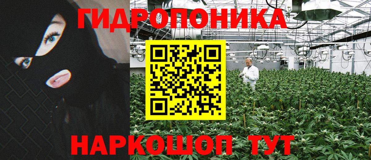 Бошки марихуана Bruce Banner Сыктывкар